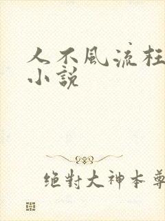 人不风流枉少年小说
