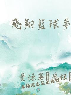 飞翔篮球梦下载