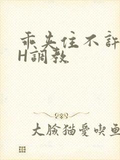 乖夹住不许喷潮H调教