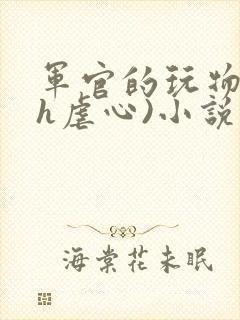 军官的玩物(高h虐心)小说