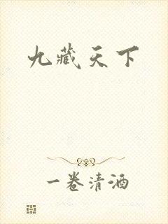 九藏天下