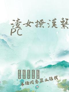 渣女撩汉系统NPC