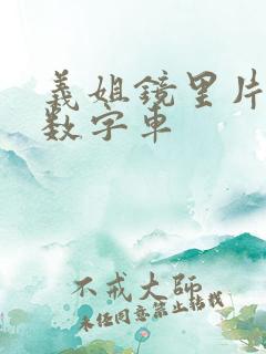 义姐镜里片微博数字车