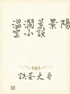 温澜叶景阳温云云小说