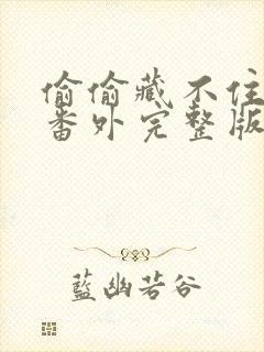 偷偷藏不住新婚番外完整版