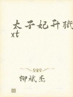 太子妃升职记txt