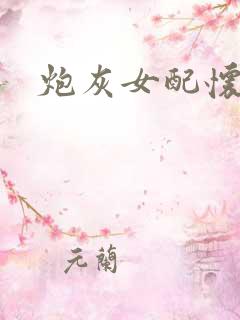 炮灰女配怀孕了