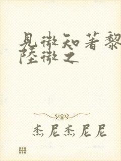 见微知著黎见卿陆微之