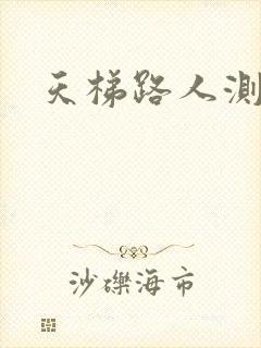 天梯路人测试器