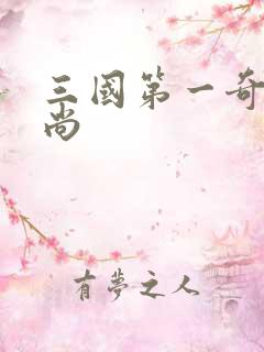 三国第一奇兵袁尚