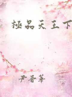 极品天王下载