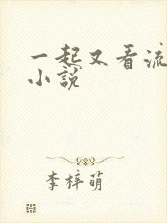 一起又看流星雨小说