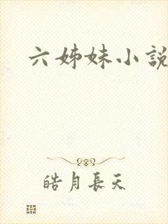 六姊妹小说