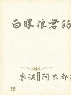 白眼狼君的小说