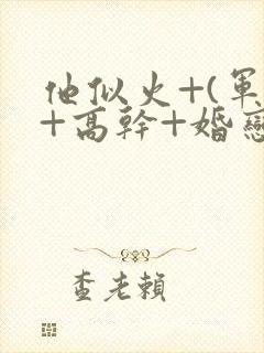 他似火+(军婚+高干+婚恋)