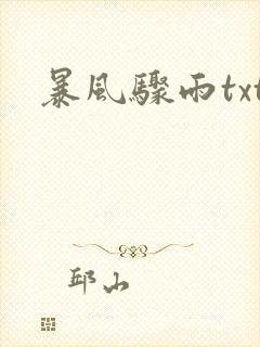 暴风骤雨txt