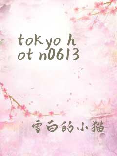 tokyo hot n0613