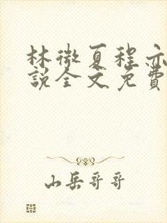 林微夏程亦风小说全文免费