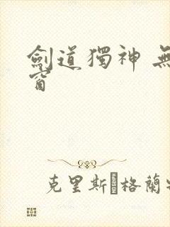 剑道独神 无弹窗