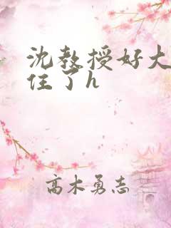 沈教授好大含不住了h