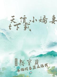 天价小娇妻txt下载