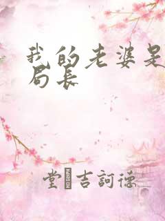 我的老婆是警察局长