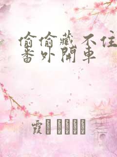 偷偷藏不住婚后番外开车