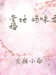 爹地 妈咪要逃婚