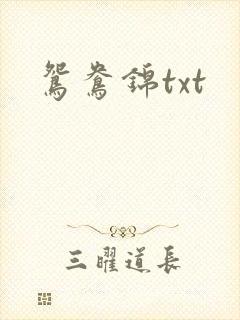 鸳鸯锦txt
