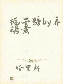 栀子糖by弄白鹅黄