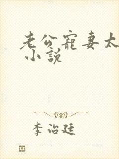 老公宠妻太甜蜜 小说