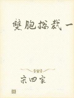 双胞总裁一个妻