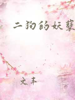 二狗的妖孽人生