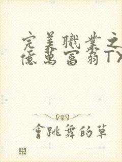 完美职业之我是亿万富翁TXT