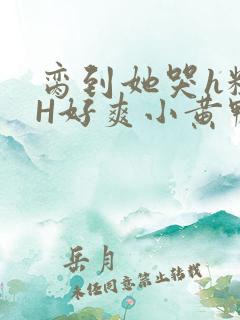 脔到她哭h粗话H好爽小黄鸭视频