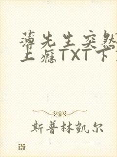 薄先生突然黏她上瘾TXT下载