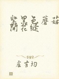 紫黑色蘑菇头顶开花缝