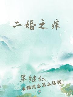 二婚之痒