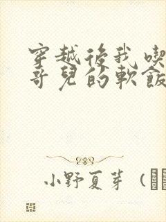 穿越后我吃到了哥儿的软饭炉山灰