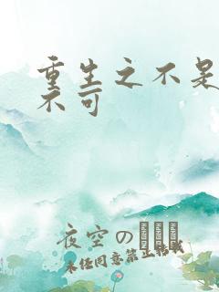 重生之不是非你不可