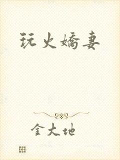 玩火娇妻