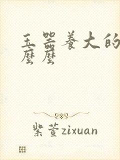 玉器养大的公主么么