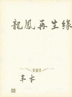 龙凤再生缘