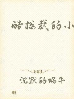 酷总裁的小女佣