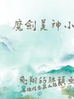 魔剑美神小说