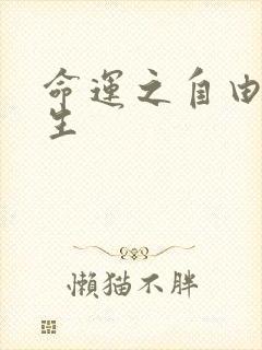 命运之自由的新生