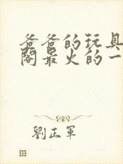 爸爸的玩具笔趣阁最火的一句