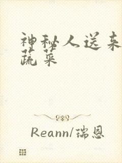 神秘人送来千斤蔬菜