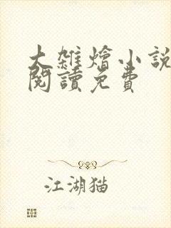 大杂烩小说全集阅读免费