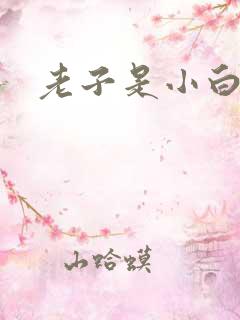 老子是小白脸